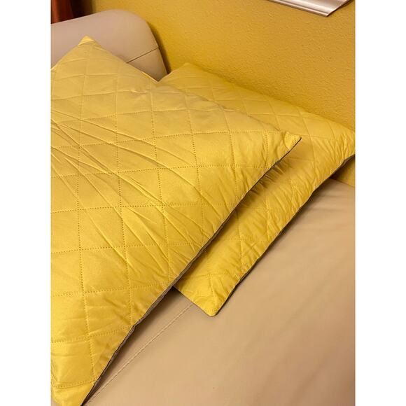 Set of 2 Cushions Filled Pillows, Light Yellow Gray 20 x 20 Inch - Picture 2 of 6